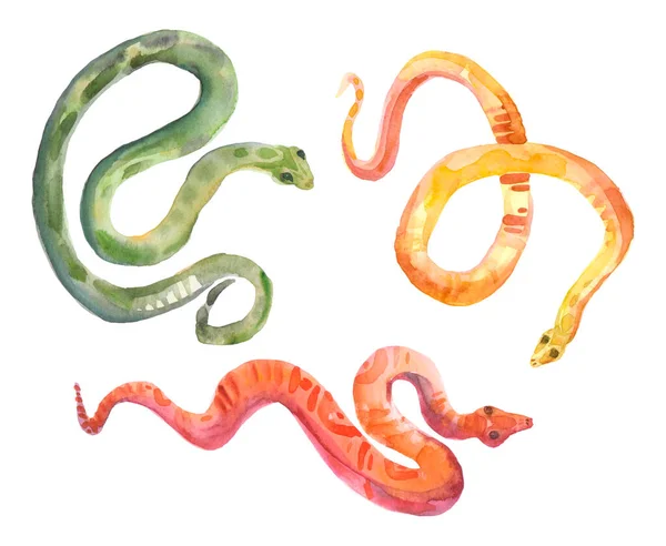 Pequeñas Serpientes Multicolores Rayadas Ilustración Aislada Acuarela Set Para Crear —  Fotos de Stock