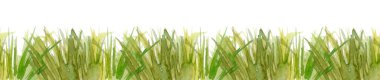 Fresh green grass - seamless pattern. Watercolor hand drawn painting illustration isolated on a white background.