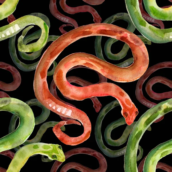 珊瑚蛇 红色和绿色条纹蛇黑色背景 红黑绿蛇 水彩画 无缝图案 — 图库照片