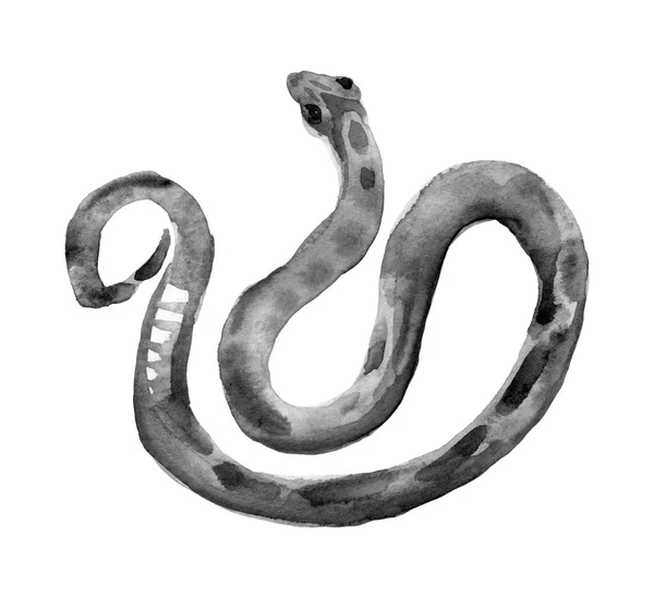 蛇与装饰品 水彩画 — 图库照片