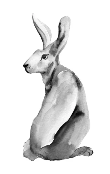 Черно Белая Акварельная Иллюстрация Симпатичные Чернила Кролика Рисунок Изолирован Белом — стоковое фото