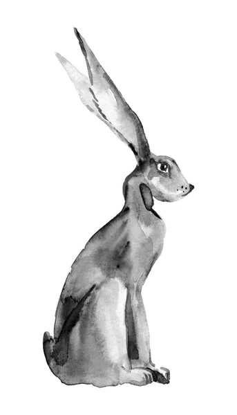 Ilustración Acuarela Artesanal Conejo Negro — Foto de Stock