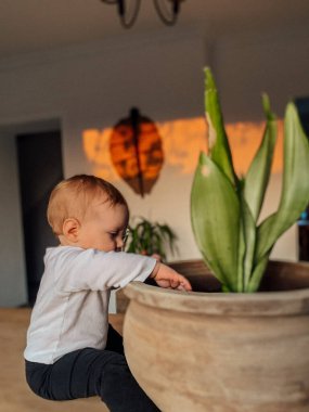 Kelebekli saksının yanında bir kız