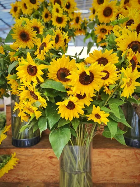 Ein Strauß Sonnenblumen Einer Vase — Stockfoto