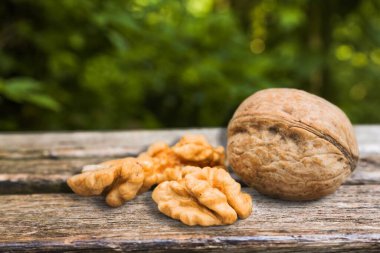 Ceviz sağlıklı fındık konsepti. Antioksidan ve LDL kolesterolün kaynağı