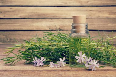 Organik esaslı yağlar. Doğal nemlendirici vücut ve yüz tedavisi kavramı