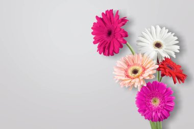 Açık gri masa zemininde taze güzel çiçekler.