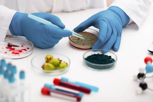 Científico Trabaja Con Petri Platos Con Bacterias Tejidos Muestras Sangre — Foto de Stock