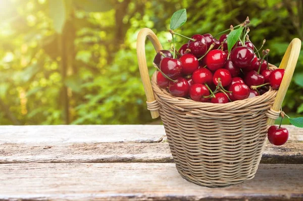 Frische Reife Rote Kleine Kirschbeeren Dorf Zur Herstellung Von Marmelade — Stockfoto