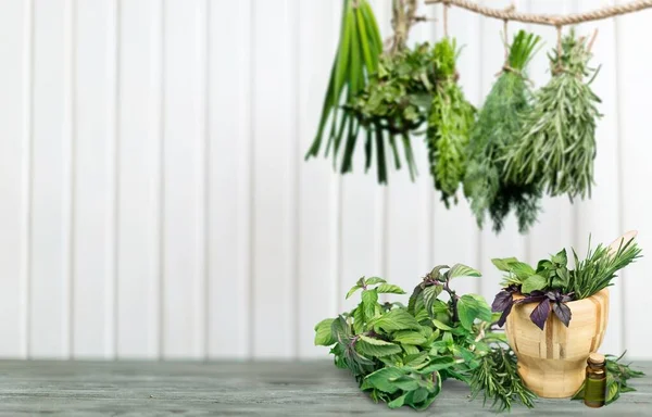 緑の植物とハーブの庭の背景 — ストック写真