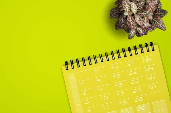 Calendario Blanco Para 2021 Calendario Escritorio Para Planificar Administrar Cada — Foto de Stock