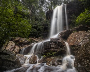 NSW merkez kıyısındaki çalılıklarda şelale.