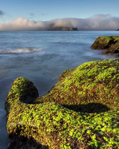 Fog Mist Background Lion Island Including Green Moss Rocks — Stockfoto