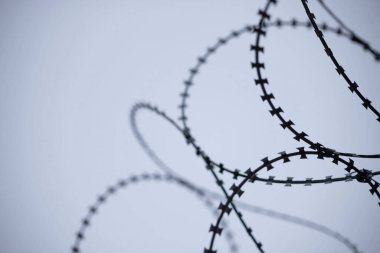 Dikenli tel ve keskin dikenli dikenler yatay beyaz arkaplan ve metin alanı