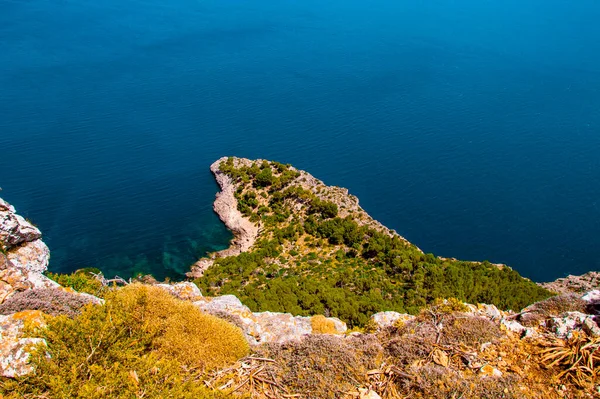 Маленький Мыс Зелеными Деревьями Выходящими Голубое Море — стоковое фото