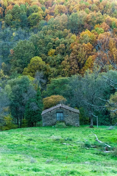 Kamenný Dům Pro Ukládání Nástrojů Zelené Louce Kaštanovým Lesem Pozadí — Stock fotografie