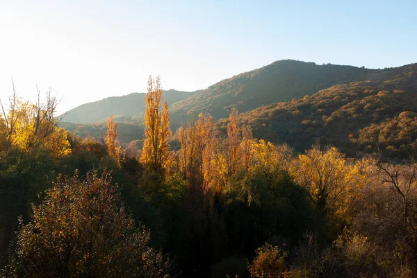 Paesaggio Autunnale Nella Valle Del Ambroz Estremadura Pioppi Illuminati Tramonto — Foto Stock