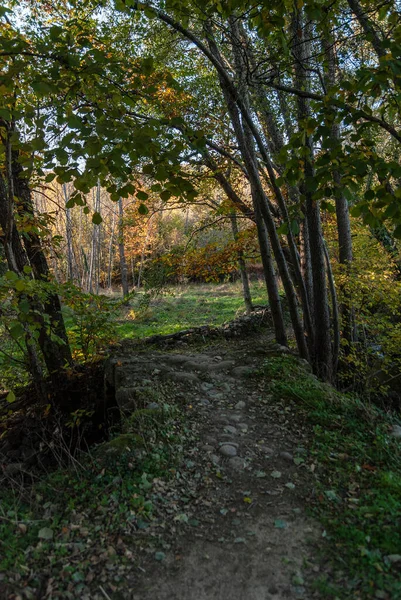 Kleine Oude Stenen Brug Herfst Waterstroom Gaan — Stockfoto