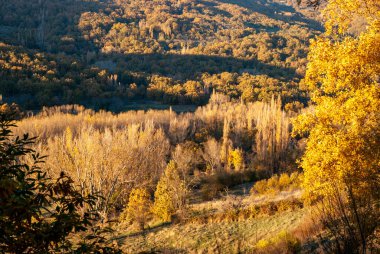 Valle del Ambroz 'da turuncu günbatımı ışığıyla sonbahar manzarası