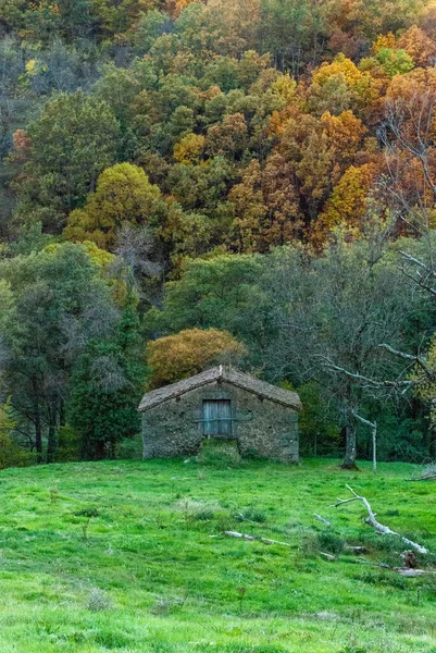 Kamenný Dům Skladovat Nástroje Zelené Louce Kaštanovým Lesem Pozadí Podzim — Stock fotografie