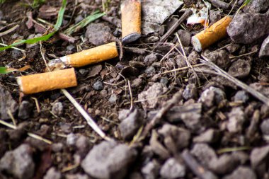 Cigarette butt with filter thrown on the ground pollution ecology garbage in nature