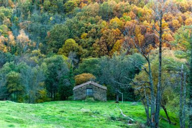 Sonbaharda arka planda kestane ormanı olan yeşil çayır üzerindeki aletleri depolamak için taş ev