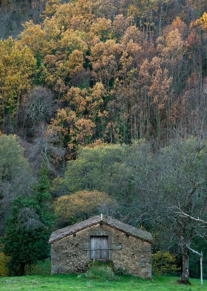 Horský Kamenný Dům Uprostřed Přírody Podzim Mechem Střeše Svislé — Stock fotografie