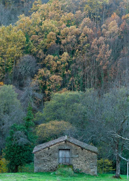 Casa Piedra Montaña Medio Naturaleza Otoño Con Musgo Techo Vertical —  Fotos de Stock