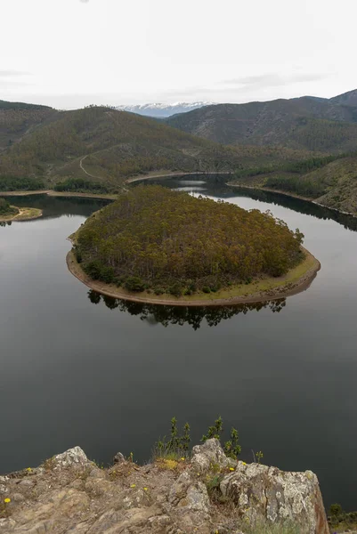 Melero Meander Autumn Lots Water Cloudy Day Vertical — стокове фото