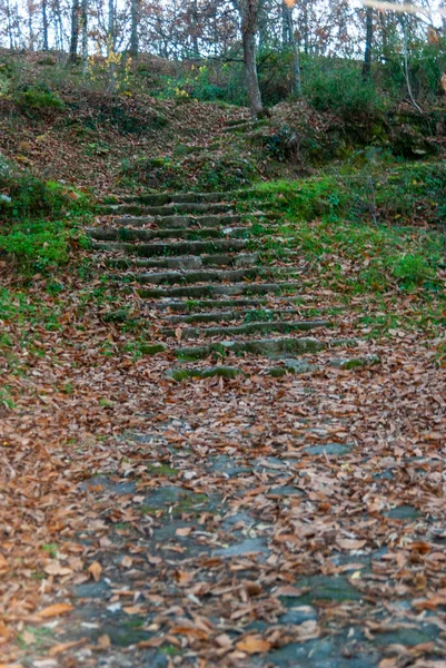 Natural Stone Staircase Covered Fallen Yellow Autumn Leaves — стоковое фото