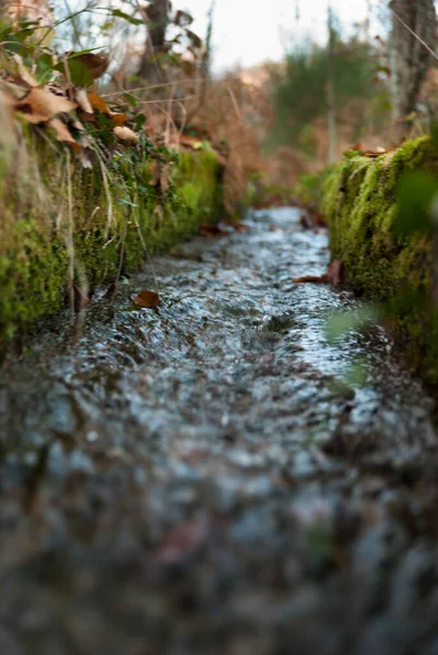 Mountain Water Channel Autumn Ground Level Walls Full Green Moss — Stock Photo, Image