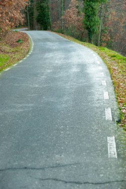 Sonbaharda düz olmayan bir dağ yolu.