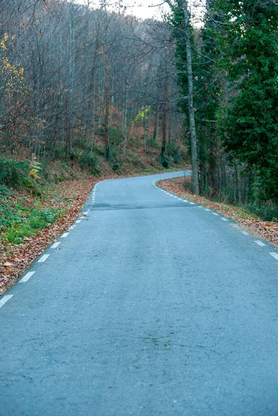 Estrada Montanha Com Superfície Áspera Outono Com Uma Curva Fundo — Fotografia de Stock