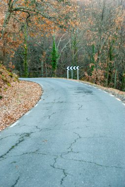 Sonbaharda dağ yolunda eğri bir tabela düşmüş yapraklarla dolu düz olmayan bir yol yüzeyi var.