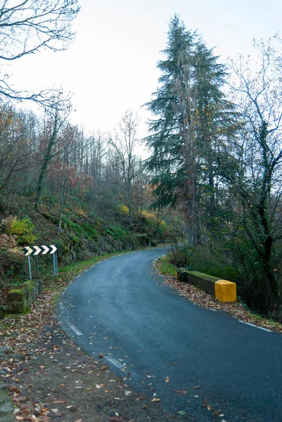 Route Montagne Avec Chaussée Inégale Avec Pont Marqué Peinture Jaune — Photo