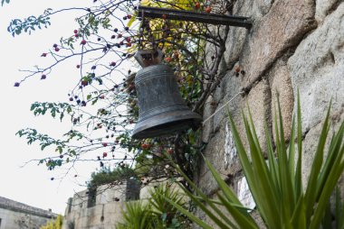 Yeşillik ve kırmızı böğürtlenlerin yanındaki taş duvarda kopyalanacak bir yer var.