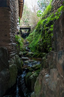 Robledillo de Gata caddelerinden geçen küçük yeşil şelaleli tipik bir köşe.
