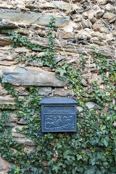 Old Black Post Box Slate Stone Wall Creeper Climbing Plant — Stock Photo, Image