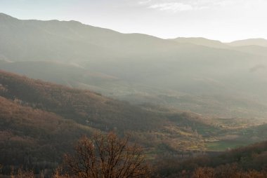 Kışın günbatımında farklı bitki örtüsü ve güneş ışığı olan ormanlar