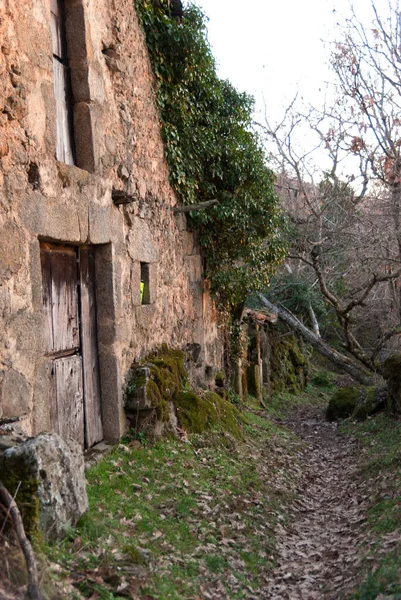 Casa Pedra Abandonada Com Hera Tronco Caído Lado Caminho Outono — Fotografia de Stock