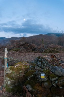Sonbaharda beyaz ve sarı yol işaretleri.