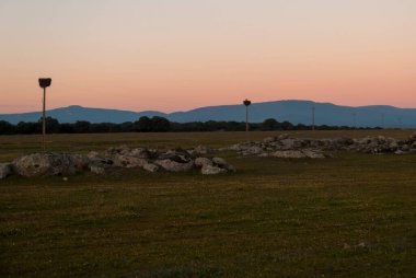 Güç direkleri, Extremadura 'da günbatımında leylek yuvalarıyla aynı hizaya geldi.