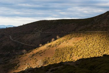 Kışın Extremadura 'daki Honduras Limanı' nın yamacında günbatımında aydınlatılan ağaçlar.