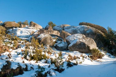 Karlı kayalar ve genç çam ağaçları ilkbaharda Mavi gökyüzü yatay