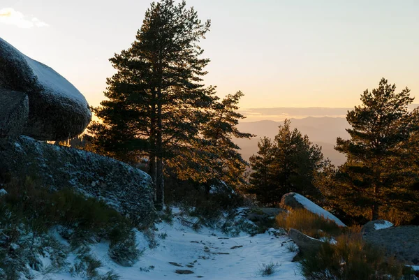 Puesta Sol Muela Garganta Extremadura Rocas Pinos Nevados Primavera —  Fotos de Stock