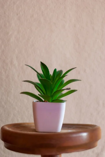 Green decorative artificial plant in white pot with white background on vertical wooden shelf with area for copy space
