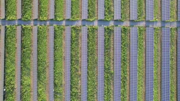 Αεροφωτογραφία Ηλιακός σταθμός στο Green Field στο Sunset, Ηλιακοί Πίνακες στη σειρά — Αρχείο Βίντεο