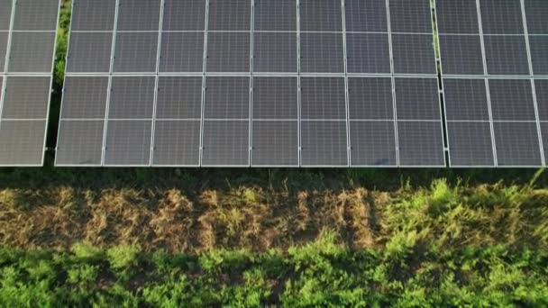 Vista aérea de la central solar en el campo verde al atardecer, paneles solares en fila — Vídeo de stock