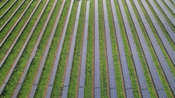 Solarkraftwerk auf der grünen Wiese bei Sonnenuntergang, Sonnenkollektoren in Reihe — Stockvideo