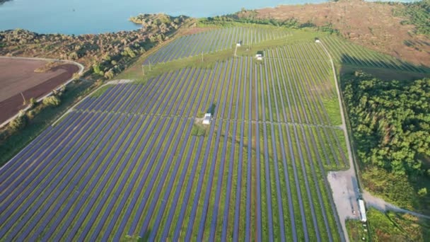 Aerial View Solar Power Station on Green Field at Sunset, Panele słoneczne w rzędzie — Wideo stockowe
